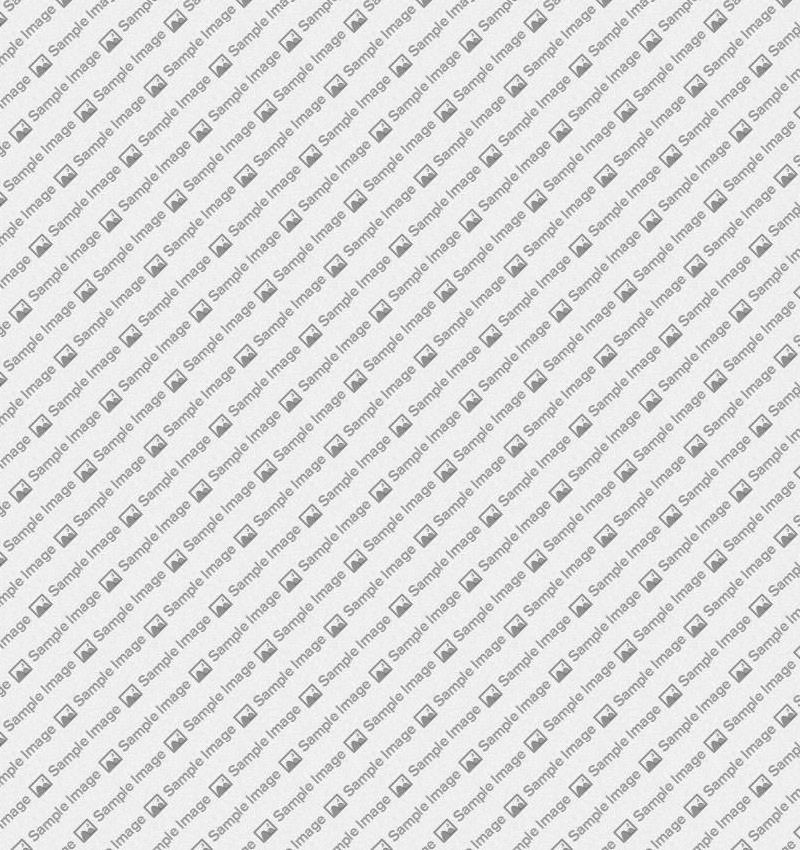 Software Development Services